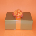 Gift wrapped gifts delivered, hot chocolate gifts UK, Cadbury hot chocolate presents